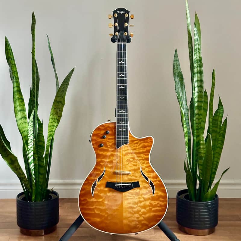 Taylor T5 image 1