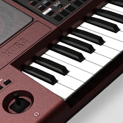 Korg PA 1000 image 11