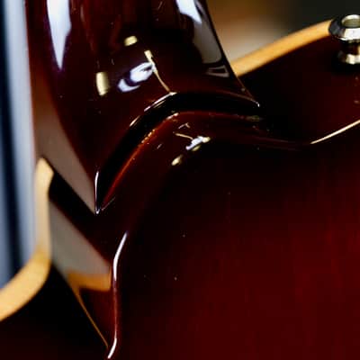 Knaggs Chena A Burnt Orange Burst image 13