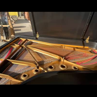 1950 Steinway & Sons Model B - 6'11" Grand Piano Exceptional Value image 7