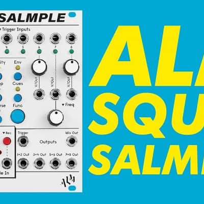 ALM Busy Circuits Squid Salmple image 2