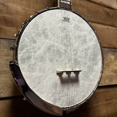 Epiphone Mastertone Bowtie Open Back Banjo w/bag image 3