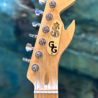 The Fish Guitar image 2
