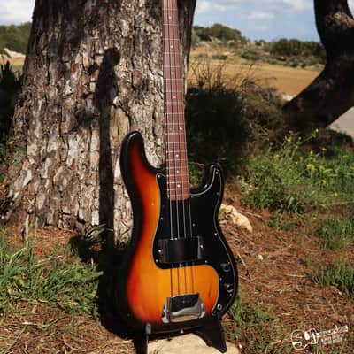 Fender Precision Bass Rosewood Fretboard 1977 | Sunburst image 13