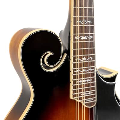 Gold Tone GM-35: F-Style Mandolin with Case image 16