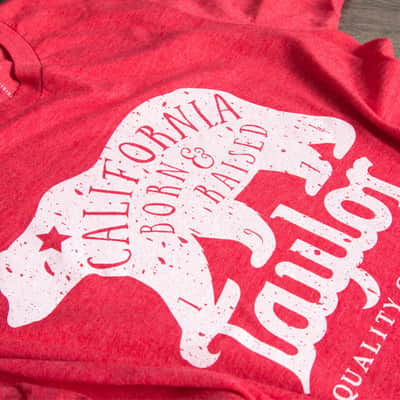 Taylor Men's California Bear T in Red in XL image 3