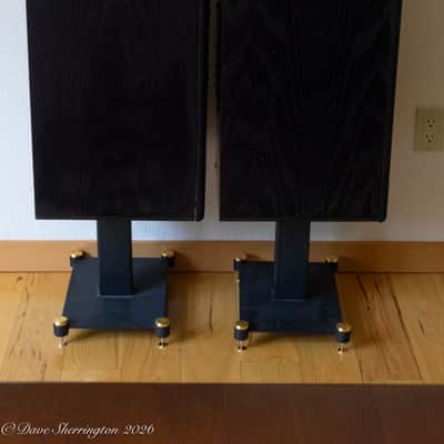 Dunlavy Audio Labs SM-1 Speakers + Stands image 6