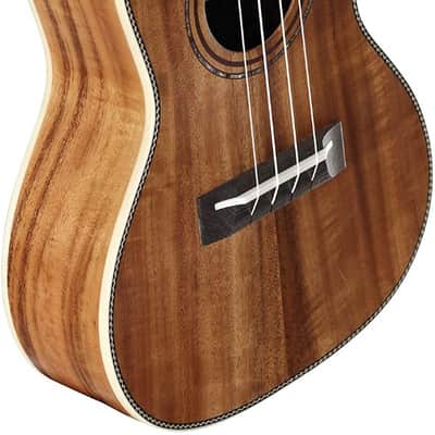 Alvarez Artist Series AU90C Concert Size Acoustic Acacia Ukulele image 6