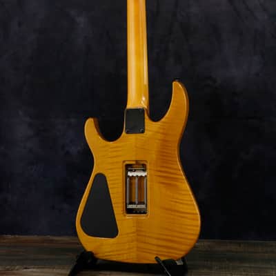 HAMER GCAE2323 MOD Amber Natural (04/03) image 3