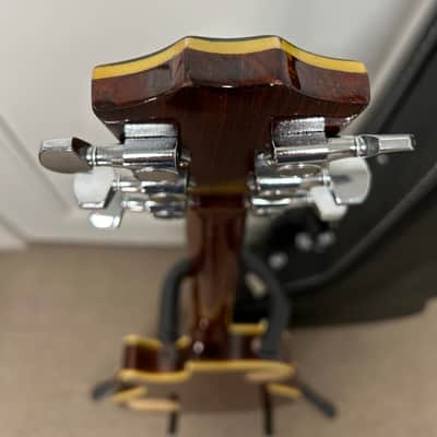 Cort Single Cut 1986 Electric LP Style Guitar w/Case image 6