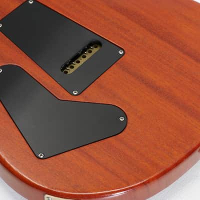 PRS Standard 24 Mahogany 20th Anniversary Limited Birds in flight 2005 Satin Cherry image 19