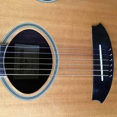 Epiphone Norlin NO-390 Acoustic Guitar with Hard Shell Case image 11