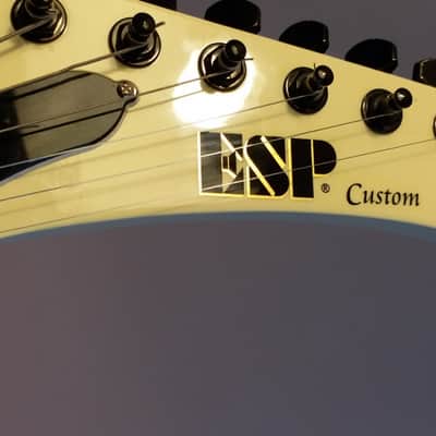 GrassRoots by ESP Explorer G-MX-48 EET FUK replica James Hetfield Metallica image 15