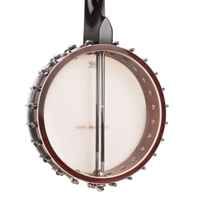 Gold Tone Mastertone WL-250 White Ladye Openback Banjo w/Case image 7