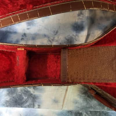 Vintage RARE 1955 Gibson ES 335 ES 175 Soft Shell Electric Guitar Case Alligator Print image 9