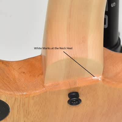 Wylde Audio Goregehn Cocobolo Psychic Bullseye Guitar B0027 image 9