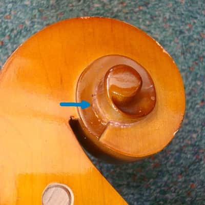 Engelhardt Model 110 4/4 Cello with Gig Bag image 14