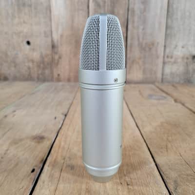 TASCAM TM-80 Large Diaphragm Condenser Microphone image 2