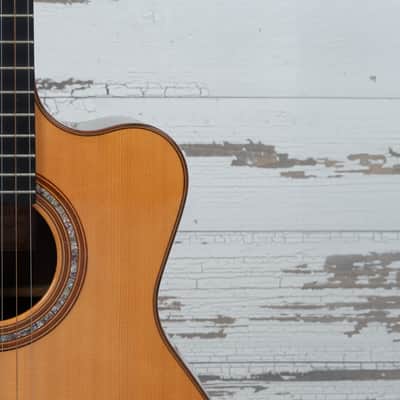 Manzer Baritone "Pat Metheny" image 12