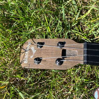 Blackbird Farallon Tenor Ukulele EKoa with MiSi pickup and Crossrock hard case image 13