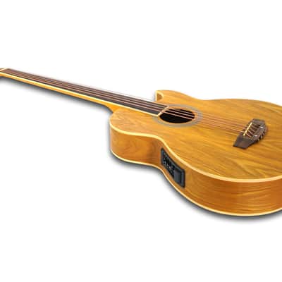 Fretless 5 String Acoustic Electric Bass image 5
