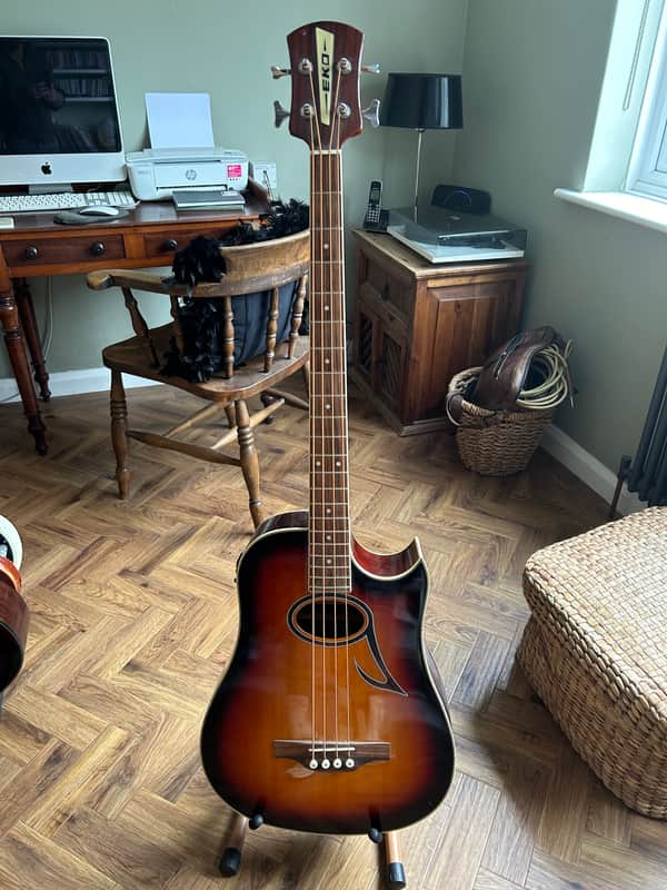 Eko Acoustic bass 2010 image 1