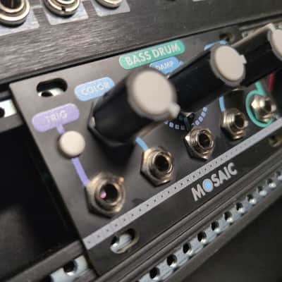 Mosaic Bass Drum - 1U Intellijel Format Black image 3