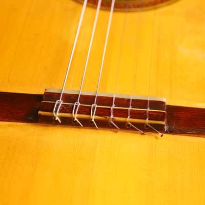 Conde Hermanos 1970 Negra Flamenco Guitar - in Domingo Esteso style with Paco de Lucia sound + check video! image 14
