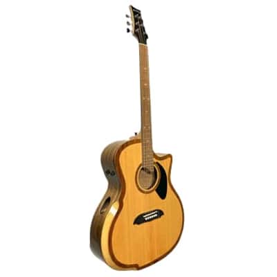 Riversong P2P-GA-Bari Baritone Guitar image 3