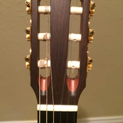Taylor NS32ce image 5