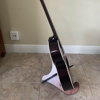 Epiphone Limited Edition EL-00 Pro V/S image 2