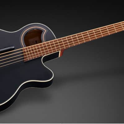 Warwick Alien Standard 5-String Acoustic Bass w/ Fishman Piezo System w/ Bag Solid Black Satin WAC1575 93PP SSA FR image 6