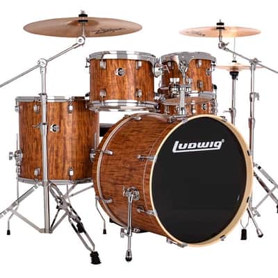 Ludwig Evolution Cherry 22'' image 2