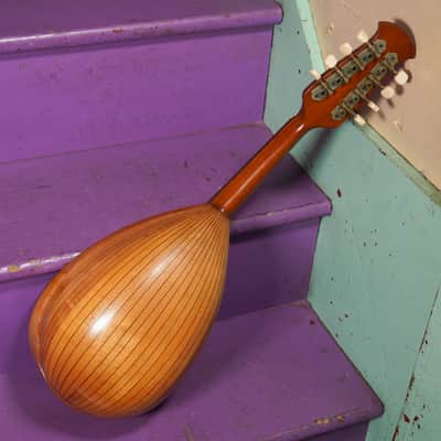 1970s Suzuki Spruce/Maple Bowlback Mandolin (VIDEO! Fresh Work, Ready) image 9