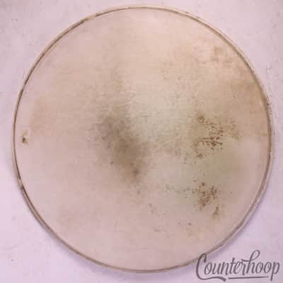 *Leedy&Ludwig Snare/Floor Tom 14"Calf Skin Drum Batter Head Vintage 50s USA* image 1