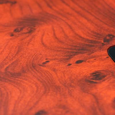 Cort Curbow 4FL Fretless Bass image 11