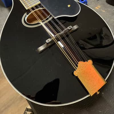 Washburn M1SDLB Bluegrass Series image 1