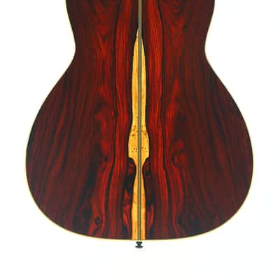 Santa Cruz 00-Skye Acoustic Guitar - designed in collaboration with the jazz guitarist Eric Skye image 6