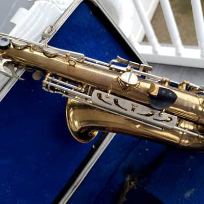 Artist Alto Sax Artist image 17