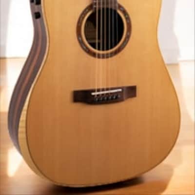Teton Dreadnought Guitar, Cutaway, Solid Spruce Top, image 1