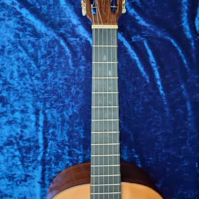Vintage 1976 Di Giorgio Tárrega – Rare "Black Label" Model – João Gilberto Era image 10