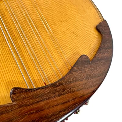 Concert Mandolin G. Kasermann (Carlo Sartori Label) from 1929 image 17
