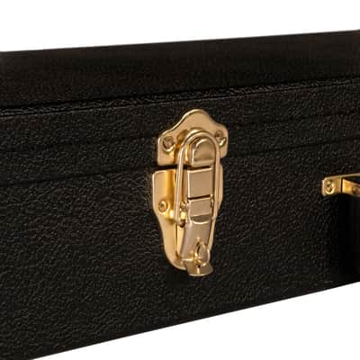 Gold Tone HDE Electric Banjo (EBT/EBM/ES) Case image 7