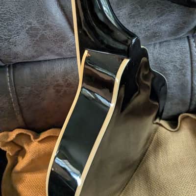Rover A Style Mandolin w/ New Gig Bag image 9