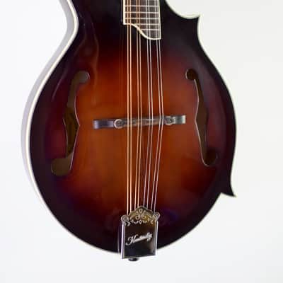 Kentucky KM805 Artist-F Vintage Amber Burst image 3