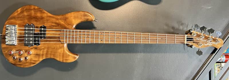 Alien Audio Constellation 5 string image 1