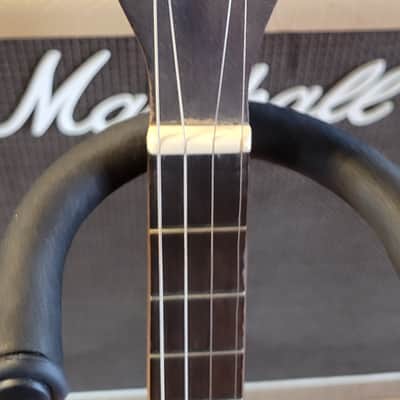 1920's? Tenor Banjo Elton Slingerland Original case 17 fret image 2
