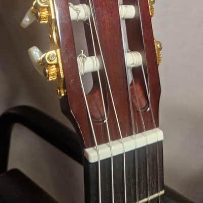 Yamaha GC12C Solid Cedar/Mahogany Classical Guitar image 11