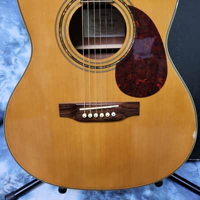 2002 Hofner Acoustic Guitar Model HAS-05GC New Strings Pro Setup Original Soft Shell Case image 2