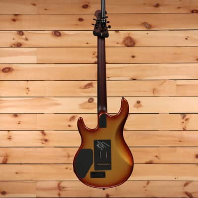Ernie Ball Luke III BFR - Woody - D00323 - PLEK'd image 9